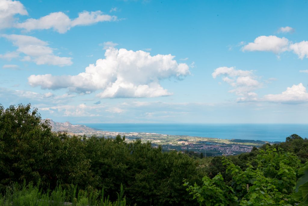 Paesaggio vitato tra collina e mare, simbolo dell’identità territoriale e della nuova comunicazione del vino.